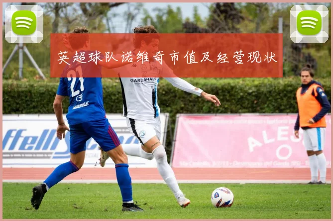 英超球队诺维奇市值及经营现状