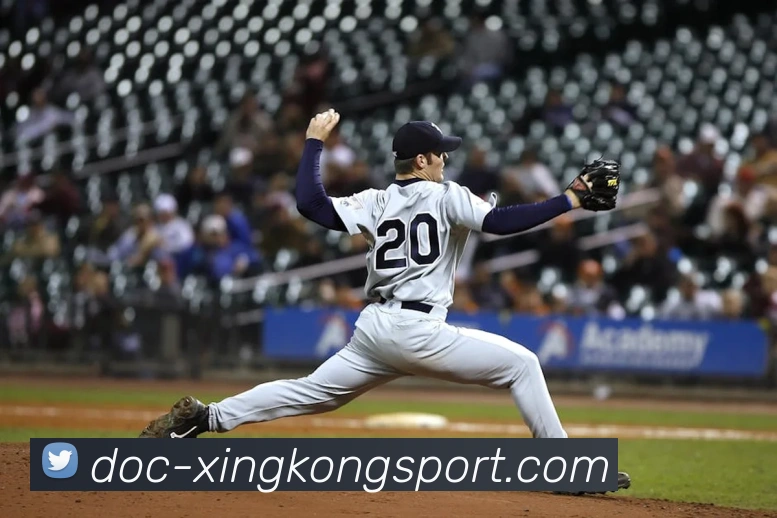 星空体育平台生态图